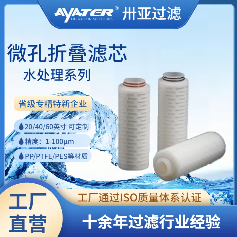 卅亞過濾10英寸0.45um親水性折疊濾芯